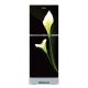 Minister M-195N BLACK ARUM LILY