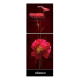 MINISTER M-225 MAROON PEONY